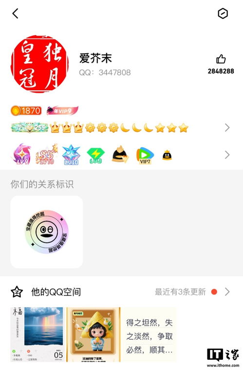 全球首个满级QQ诞生