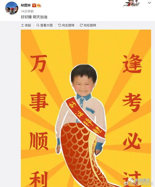《你好星期六》全员送高考祝福