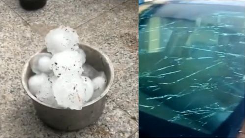 汽车瓦片分为多少种 汽车瓦片分为多少种