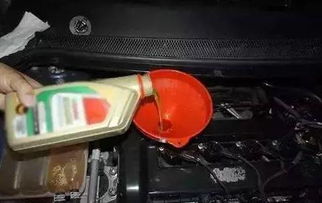 汽车换油需要多少油