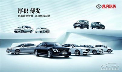 师宗汽车价格多少