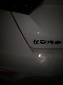 汽车龟裂多少钱 汽车龟裂多少钱