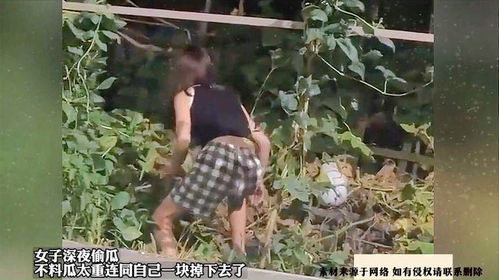 女子因偷两根小米辣被拘？假