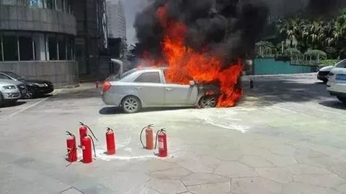 宁波汽车事故率多少