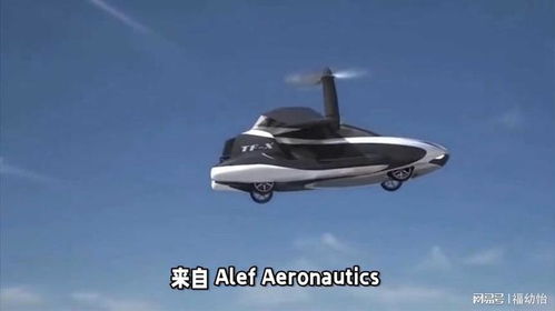 起飞汽车价格多少
