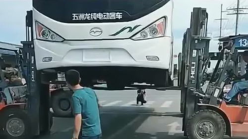 抬起汽车需要多少力量