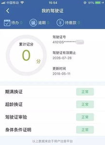 焦作汽车交罚款多少