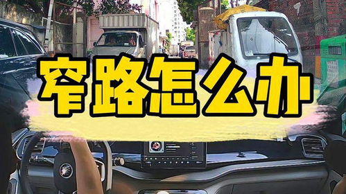 简阳汽车陪练价格多少 简阳汽车陪练价格多少