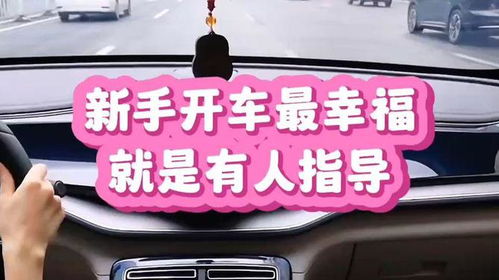 简阳汽车陪练价格多少 简阳汽车陪练价格多少