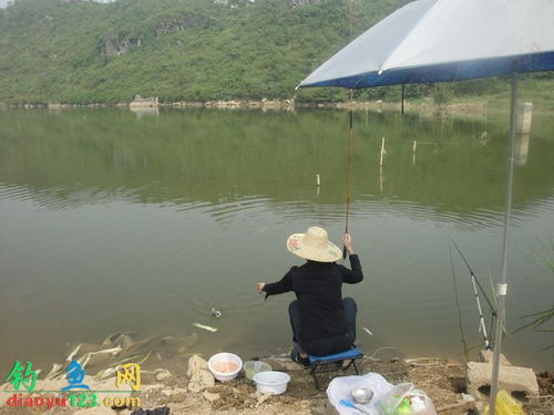 未名湖水卖近百元 鱼听了都想考研