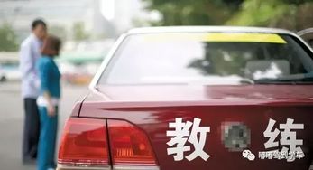 现在汽车教练工资多少