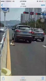 汽车拖绳多少好用 汽车拖绳多少好用