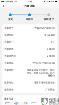 汽车违章多少天内通知