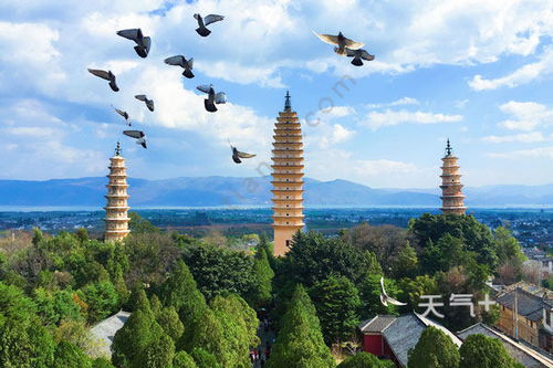 大理到丽江汽车多少