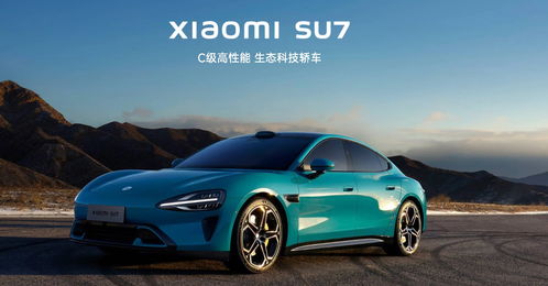 小米汽车定价多少啊