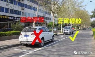 汽车违法停放罚多少