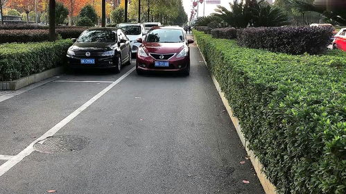 汽车停多少天时间 汽车停多少天时间
