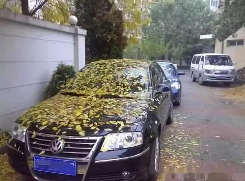 汽车停多少天时间 汽车停多少天时间