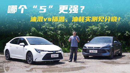 插混汽车油耗多少