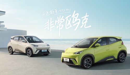 海鸥汽车尺寸是多少
