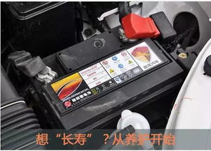 汽车用电瓶多少组