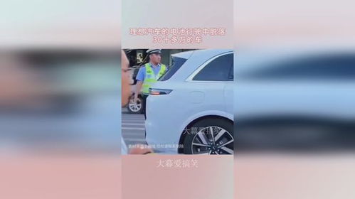 理想汽车掉了多少粉