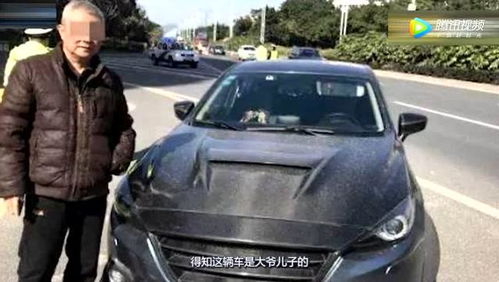 爷爷开汽车罚款多少