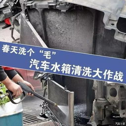 汽车清理水箱要多少