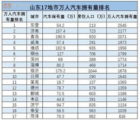 汽车全保有多少项