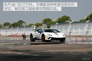 汽车赛道有多少种