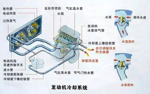 汽车水管寿命多少公里