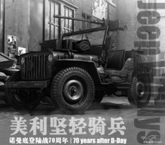 谢尔曼汽车价格多少