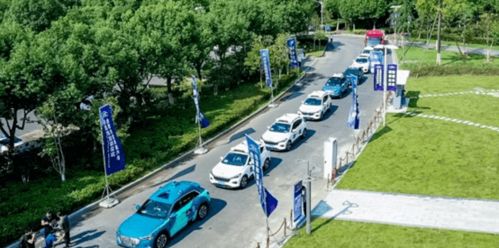 汽车步距多少危险