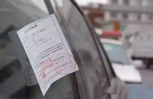 今天佛山汽车罚单多少