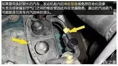 汽车油管更换要多少
