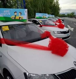 汽车解押多少天内办理