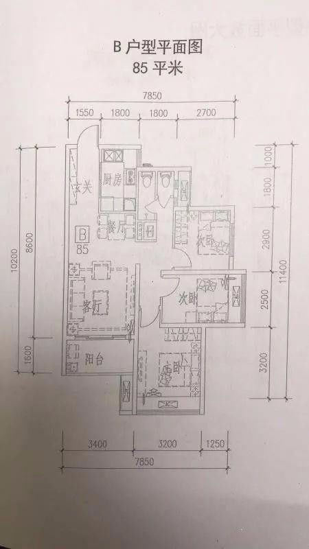 张雨绮直播拆LABUBU 超10万人围观