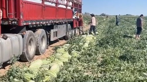 汽车多少公里高速拉车