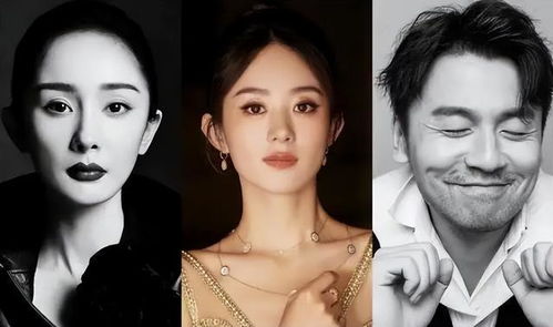 章子怡：酱园弄》全是大女主大男主