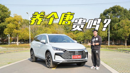 比亚迪汽车打孔费用多少