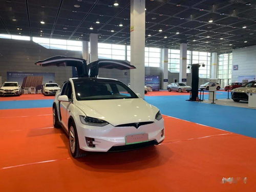 2021全球有多少汽车