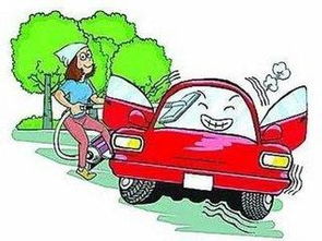 自家汽车维修间距多少