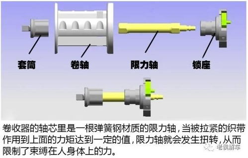 汽车安全带多少