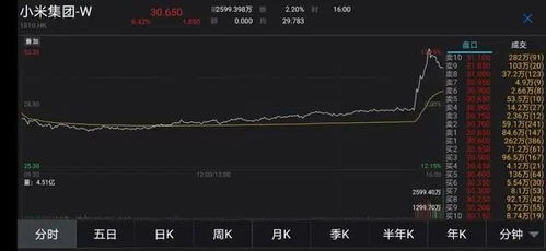 小米汽车软件收费多少
