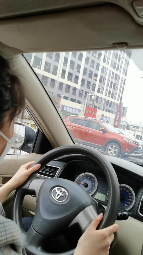 越秀汽车陪练价格多少 越秀汽车陪练价格多少