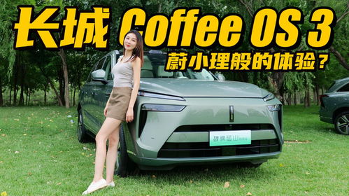 蓝山汽车极速是多少