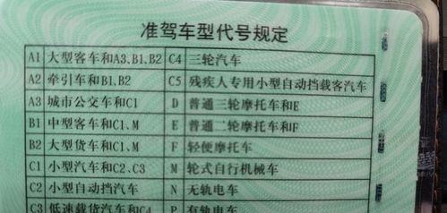 小汽车视力要求多少