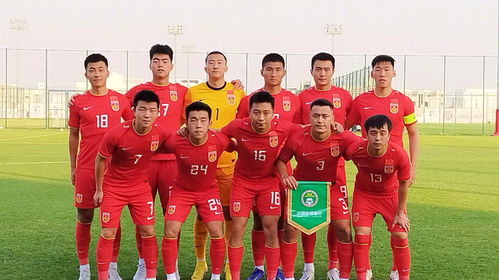久尔杰维奇将任国足临时主帅