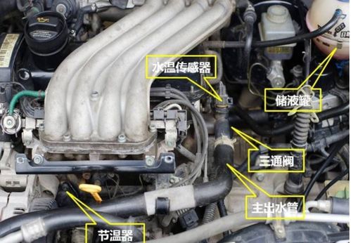 汽车水箱油耗多少正常