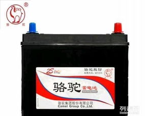 日产汽车电瓶多少伏